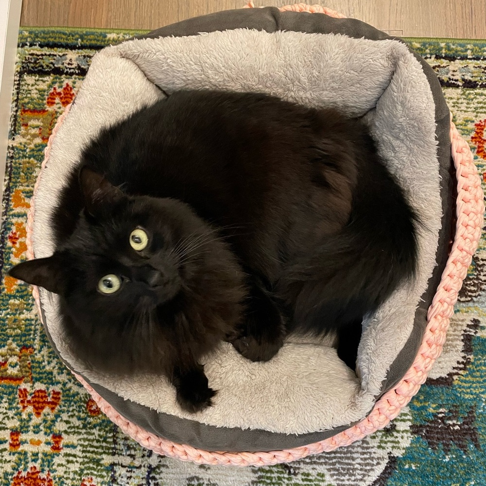 Meet your Posher, Zarah